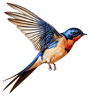 beeld van een zwaluw als sfeer boven de succesverhalen